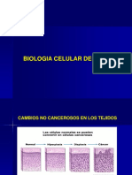 Biologia Celular 15ab