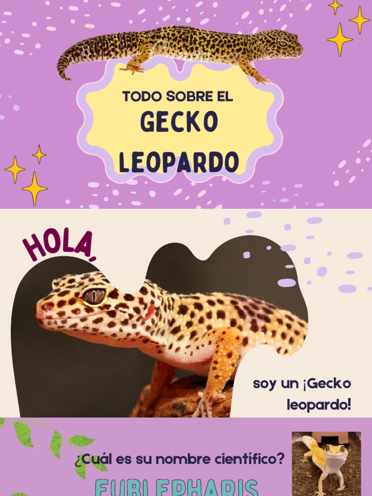 Gecko Leopardo: Características y Cuidados | PDF