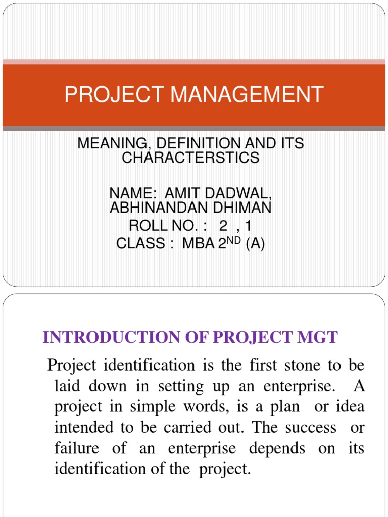 Understanding Project Management Basics | PDF | Capital (Economics ...