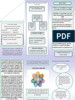 TRIPTICO Cambios en El Paradigma