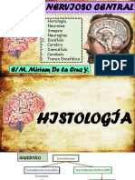 ANATOMIA - Sis. Nervioso Central I