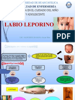 Labioleporino Clases 2019