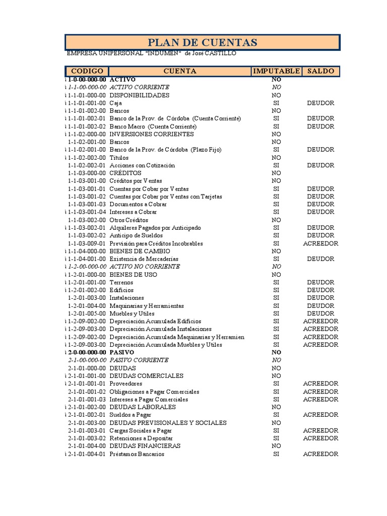 Plan de Cuentas para Indumen | PDF | Bancos | Activo fijo