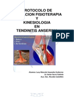 Protocolo Tendinitis Anserina