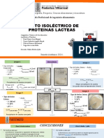 QA - Informe - Punto Isiolectrico