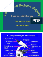 11-2022 CD (Zoology)