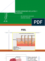 10) Tumores de Piel