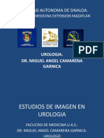 5.-Imagen en Urologia