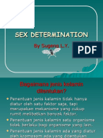 Sex Determinasi