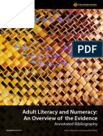Adult Literacy and Numeracy An Overview