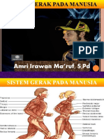 Sistem Gerak Pada Manusia