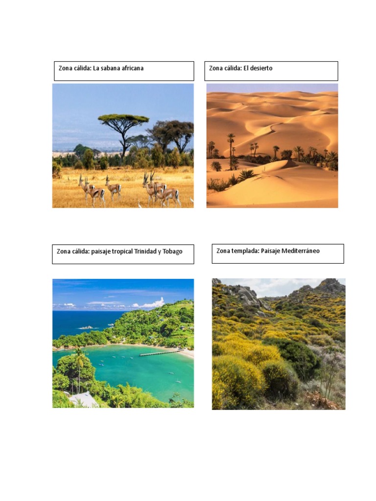 Climas | PDF | Clima templado | Clima