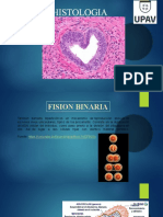 Histologia Fision Binaria