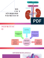 Síndrome Nefrótico y Síndrome Nefrítico