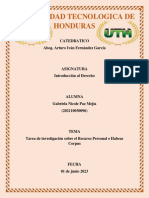 Tarea de Investigación Sobre El Recurso Personal o Habeas Corpus T5