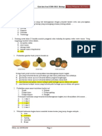 Soal Persiapan Ujian Sekolah Biologi