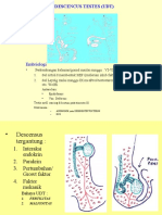 Undesensus Testis