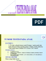 Tumor Testis