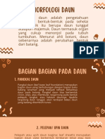 Morfologi Daun - Jumpa Yudi Yanti