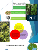 El Medio Ambiente y La Sensibilidad Ambiental (