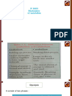 4.3 Metabolism