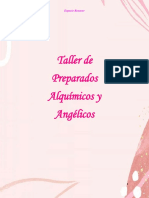 2 - Taller de Preparados Alquímicos