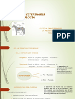 Clase 27 Sistema Endocrino III