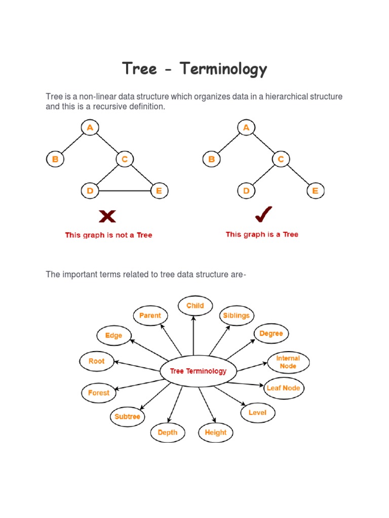 Tree Data Structure Terms | PDF | Computer Programming | Applied ...