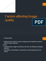 Forage Quality