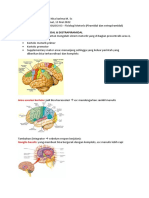 Fisiologi K3 - NP