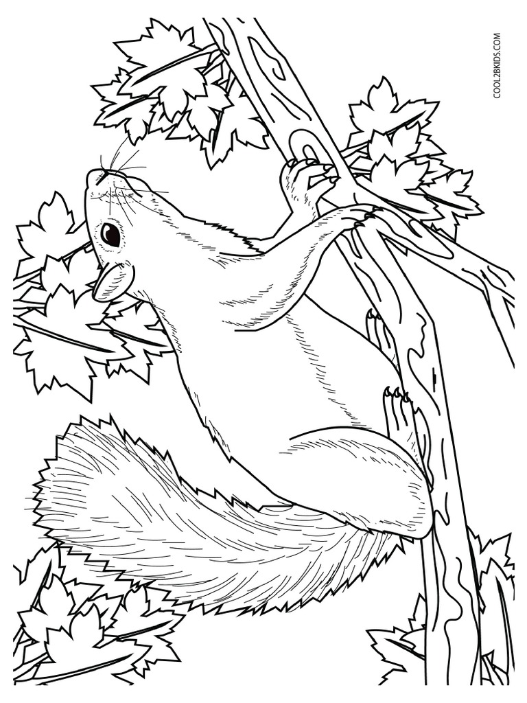 Gray Squirrel Coloring Page | PDF
