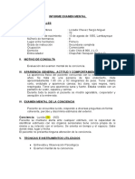 Informe Examen de La Conciencia