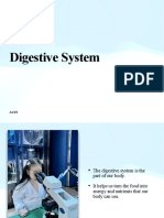 Digestive System