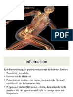 Inflamacion Cronica 1