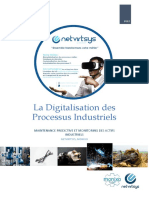Digitalisation Processus Industriels - Netvirtsys