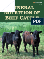 Mineral Nutrition of Beef Cattle
