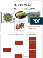 Pertemuan - Sel Prokaryot Dan Eukaryot