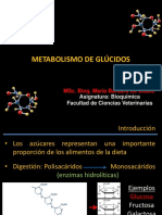 Clase 8 Metabolismo de Glúcidos 2023