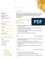 Current Professional Resume Template Yellow
