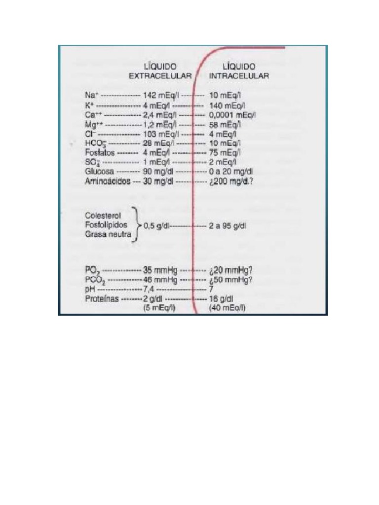LEC y LIC | PDF