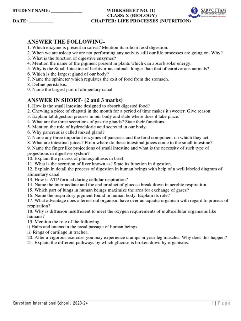 X Life Processes Nutrition Ws Pdf Digestion Human Digestive System