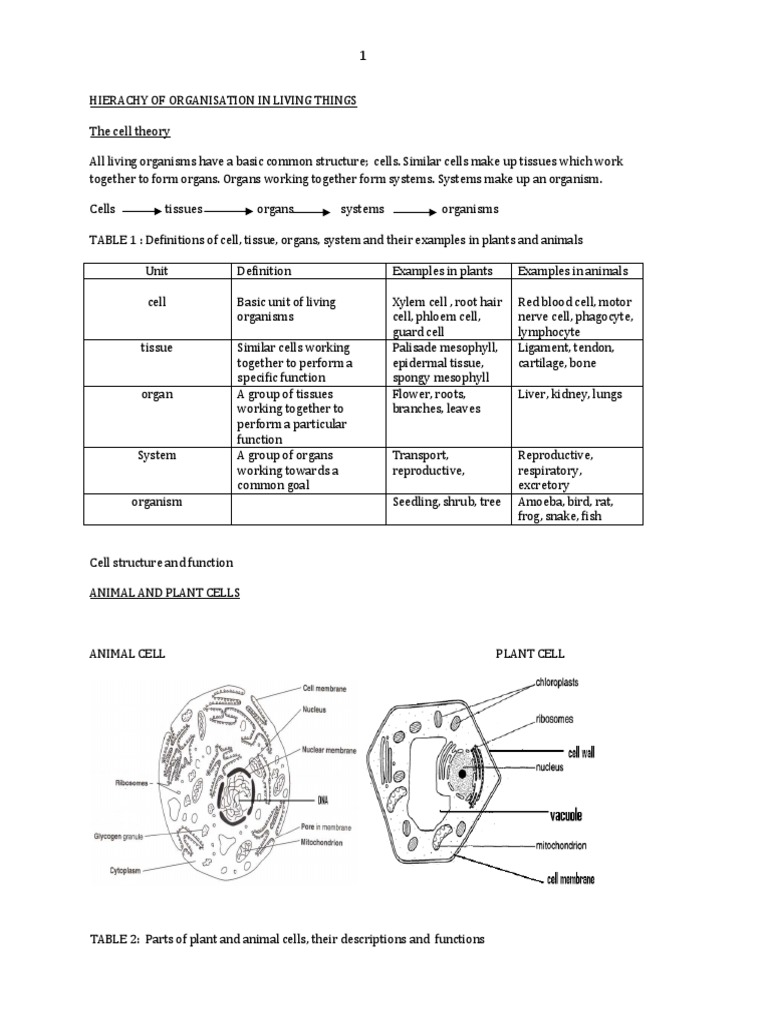 Bgcse Biology Notes Important | PDF | Osmosis | Photosynthesis