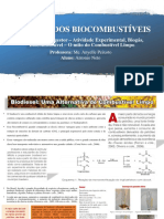 Seminário Biocombustíveis - 20-12-2019