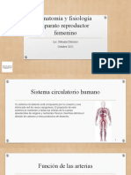 Anatomía y Fisiología Aparato Reproductor Femenino