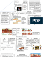 Resumen 1 Edafología