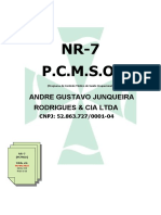 NR-7 (Pcmso) - Oficina Do Andre Junqueira