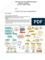 Taller N°2 Ciencias Naturales 7° - Edna Miranda