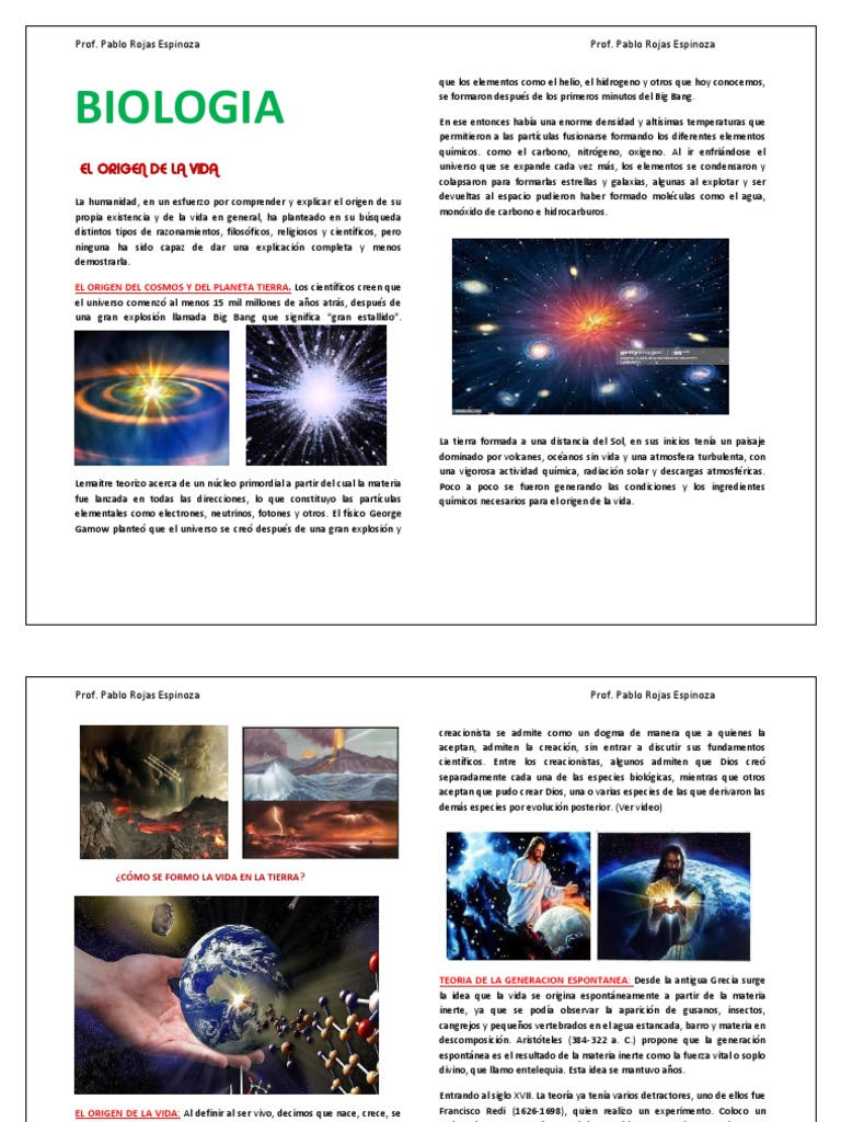Teorias Sobre El Origen de La Vida | PDF | Abiogénesis | Big Bang