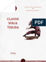 Classe Ninja 2 (FanMade)