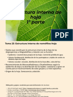 Estructura Interna de Hoja Botánica Alimentaria 2022 1a Parte